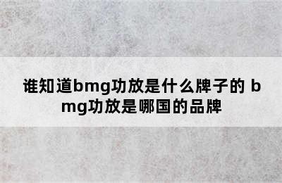 谁知道bmg功放是什么牌子的 bmg功放是哪国的品牌